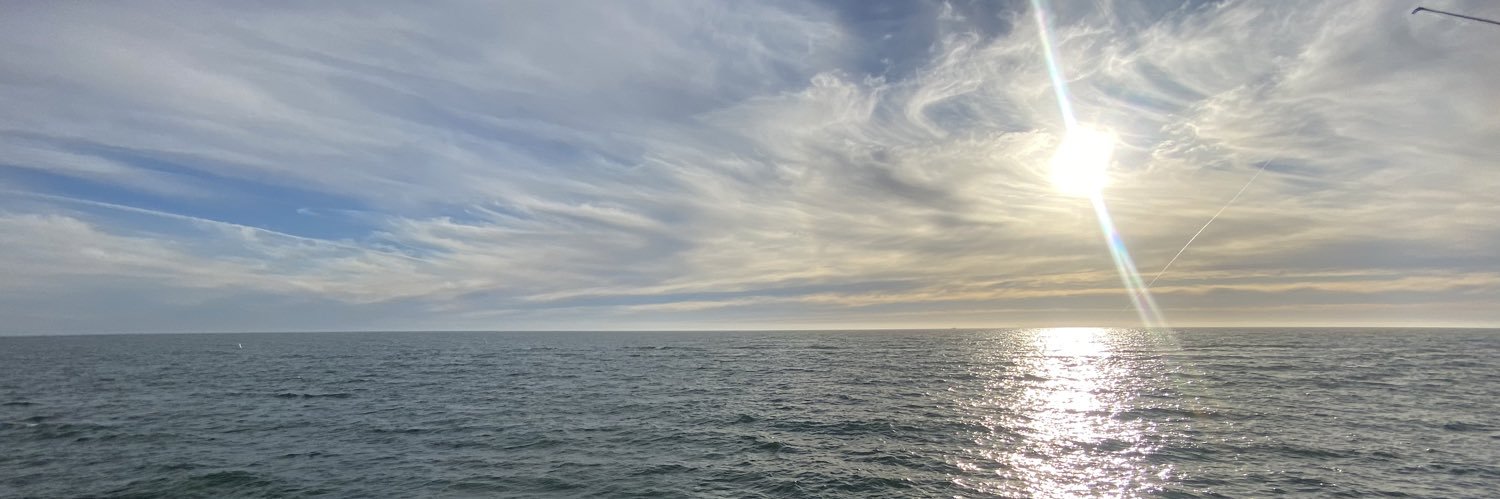 AllisonNiccolee's profile banner image