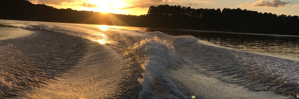 coco_crosby's profile banner image
