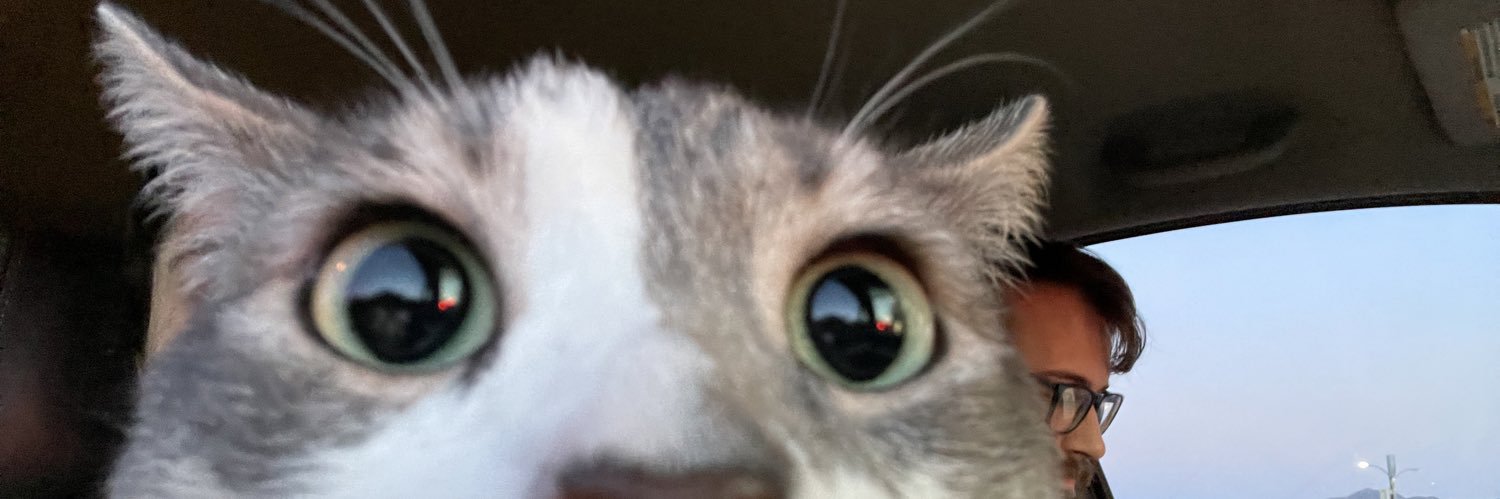 hannahshooler's profile banner image