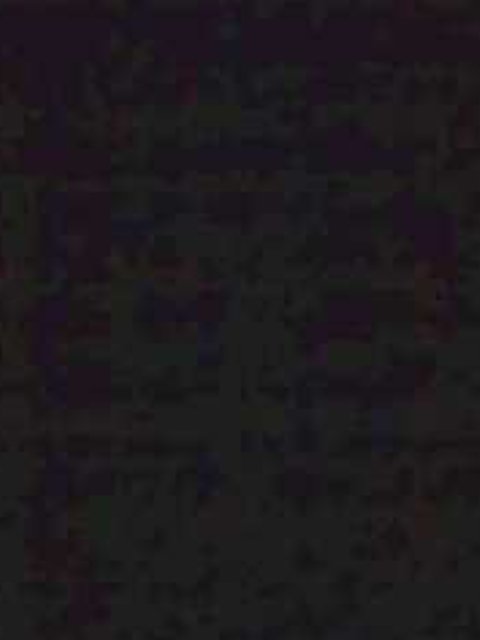 tixrex99's profile banner image