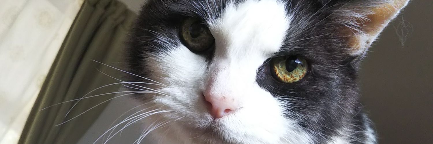 nao うつ病アカウント banner