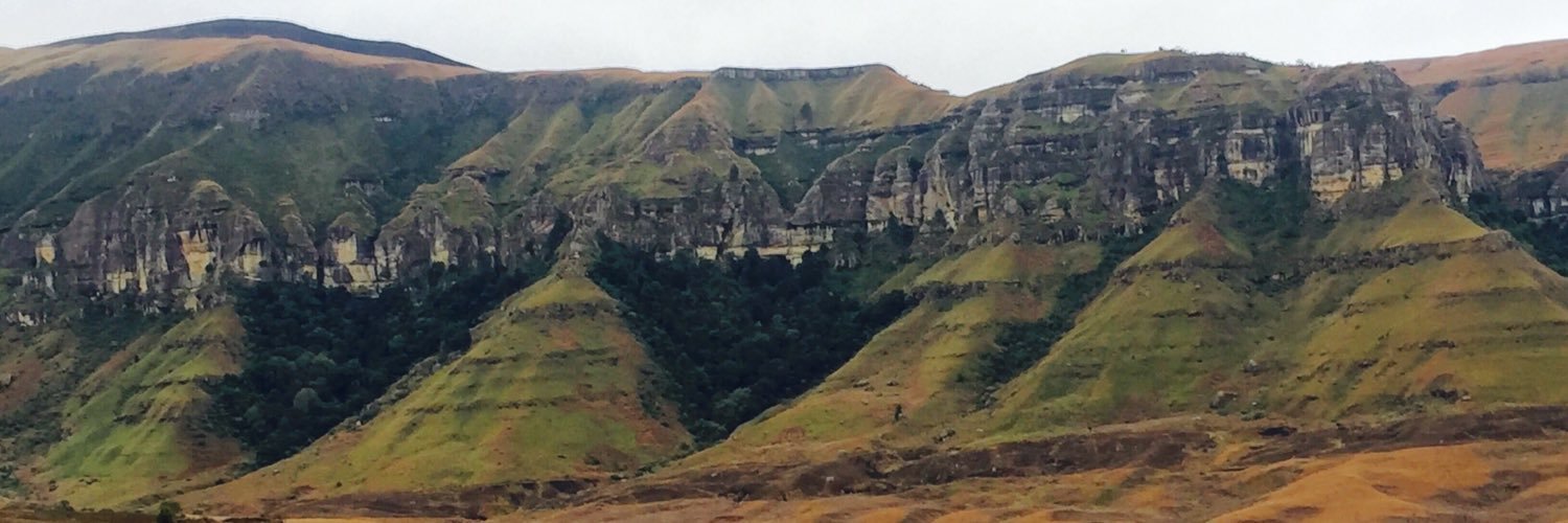 Tarrie Nyamweda banner