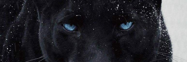 Xavieragp's profile banner image