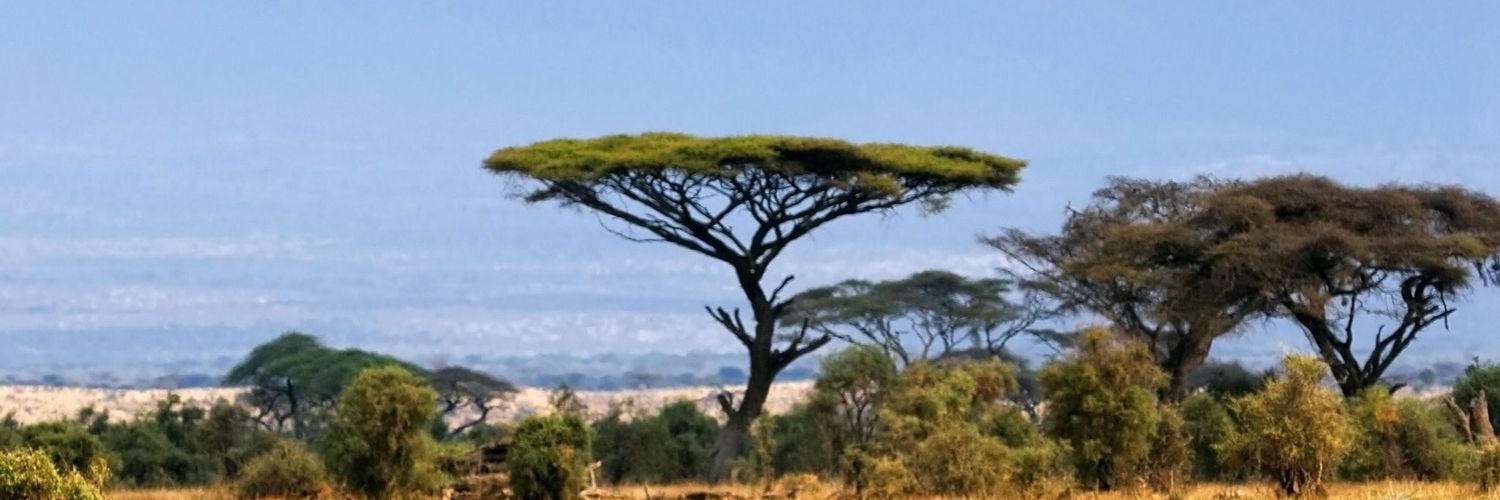 africanviews's profile banner image