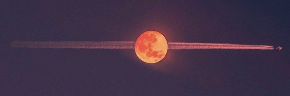 david_ash_6's profile banner image