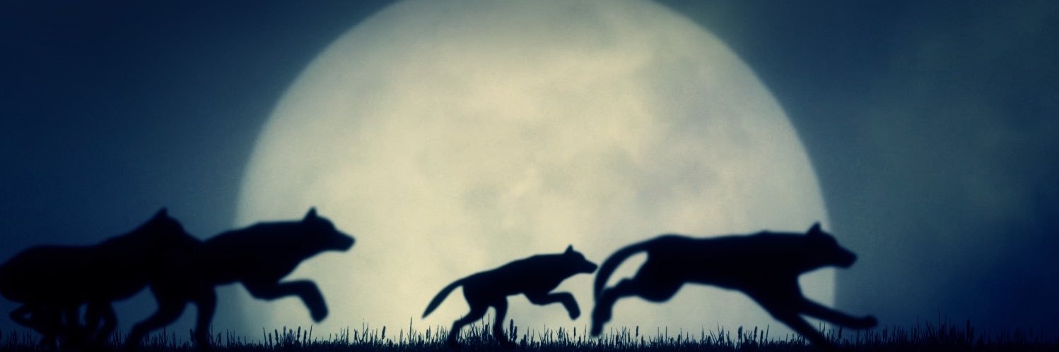 EddyHandoko1's profile banner image