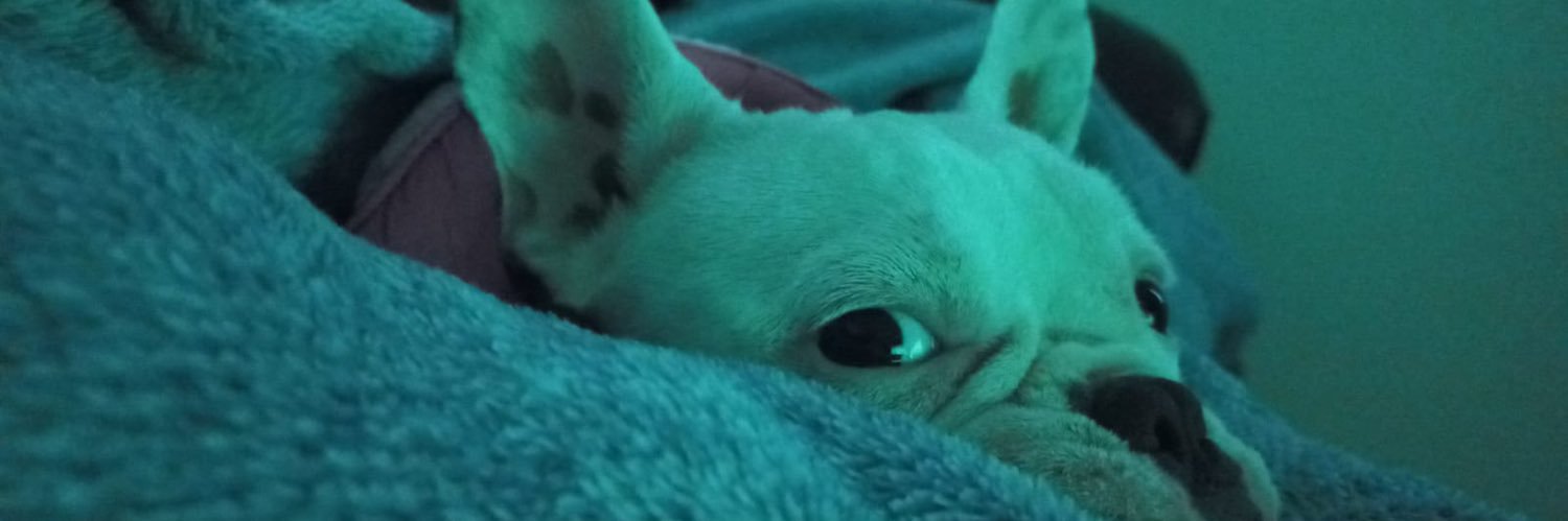 EmersonRamirezG's profile banner image