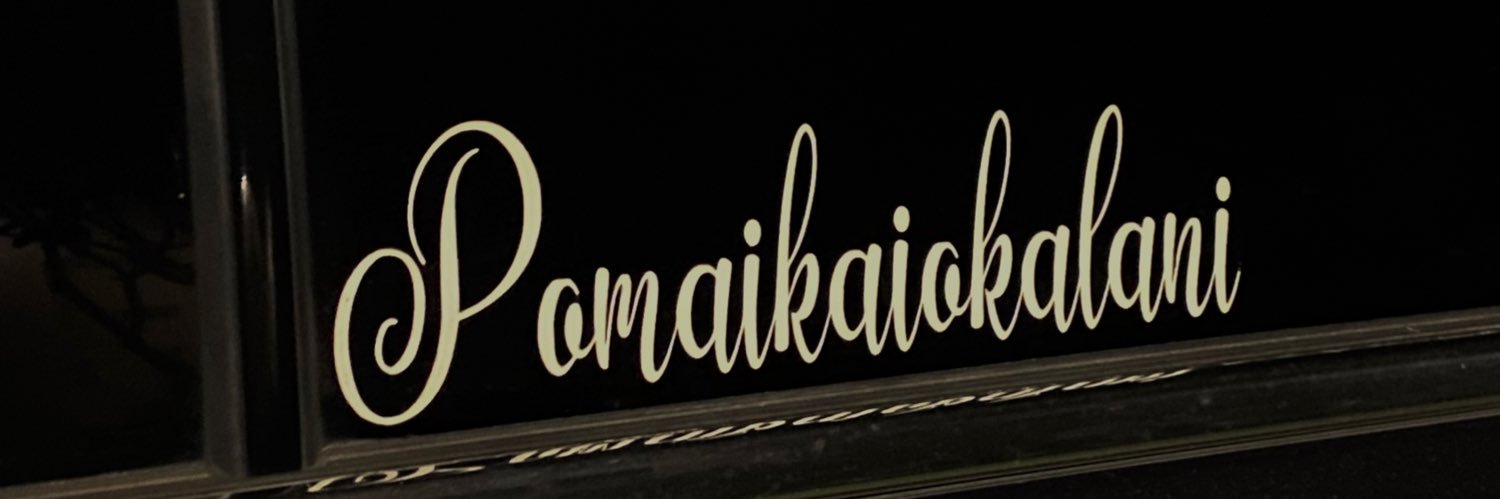 arianapomai's profile banner image