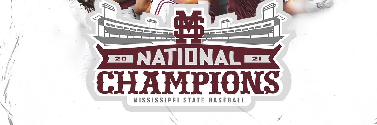 The Large Dawg™🏴‍☠️ banner