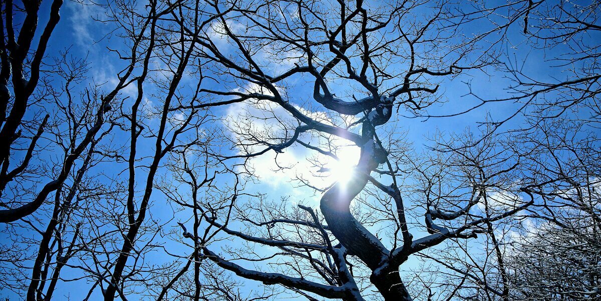 john3904's profile banner image