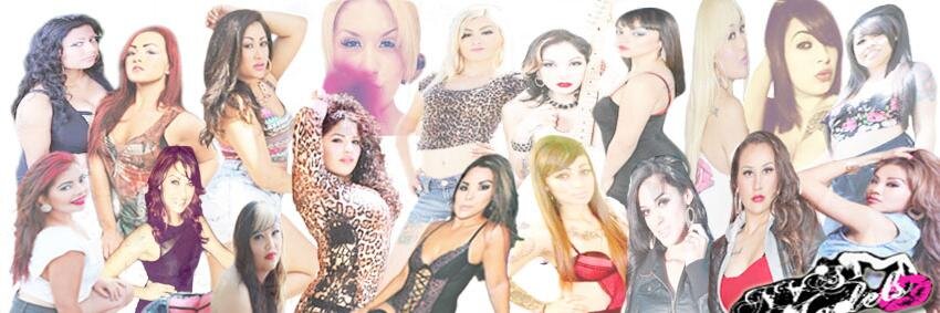 nvsmodels's profile banner image