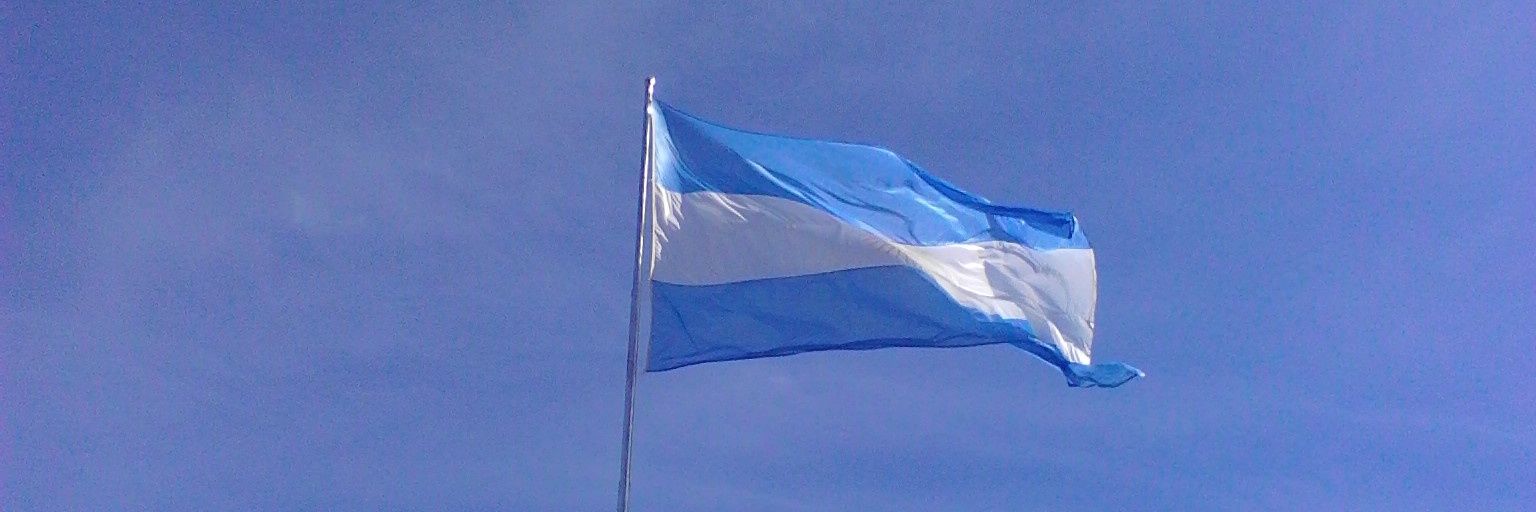 MarceloPetrini's profile banner image