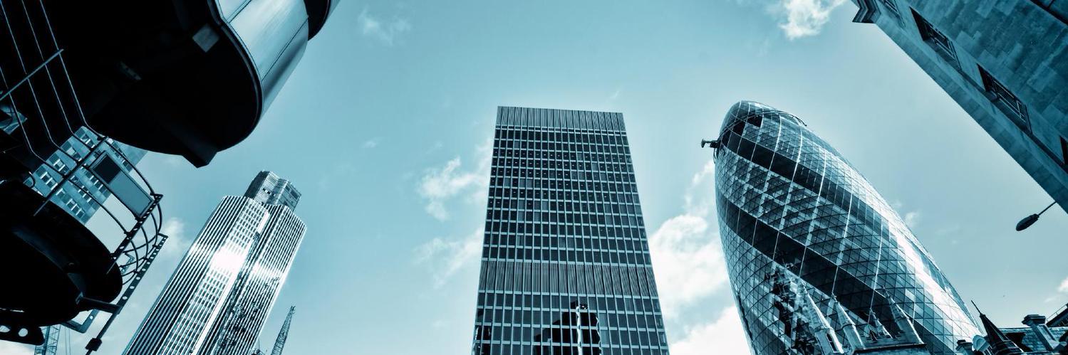 cryptog1r1's profile banner image