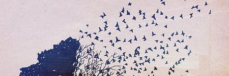 Leonor_bn's profile banner image