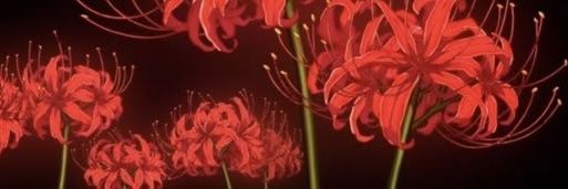 aeternare's profile banner image