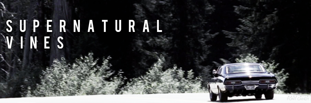 vinespn's profile banner image