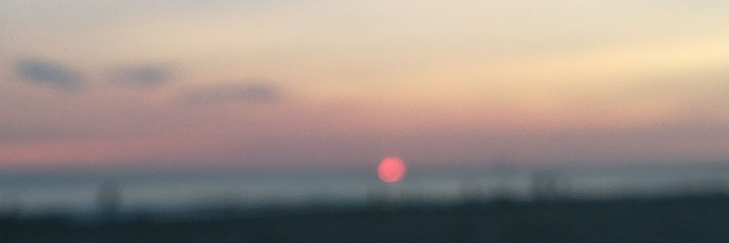 lvnkr_'s profile banner image
