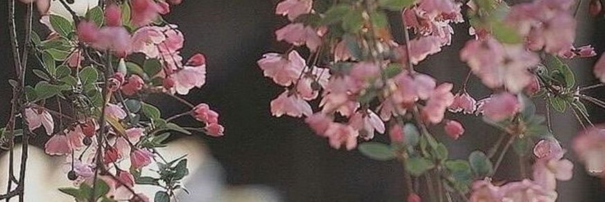 smsm1108's profile banner image