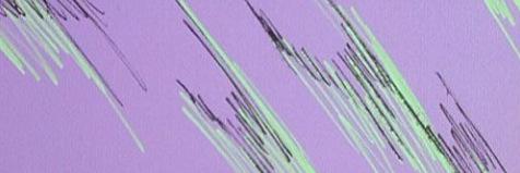 WtfWhosDaish's profile banner image