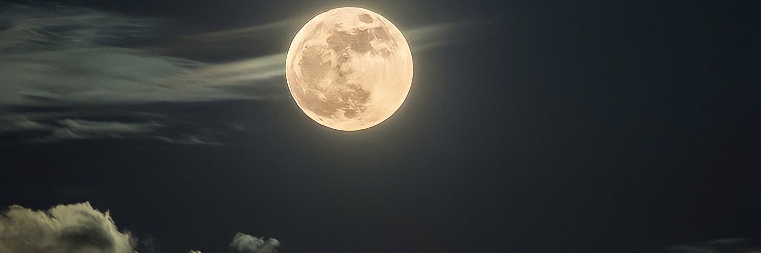 ibtksy's profile banner image