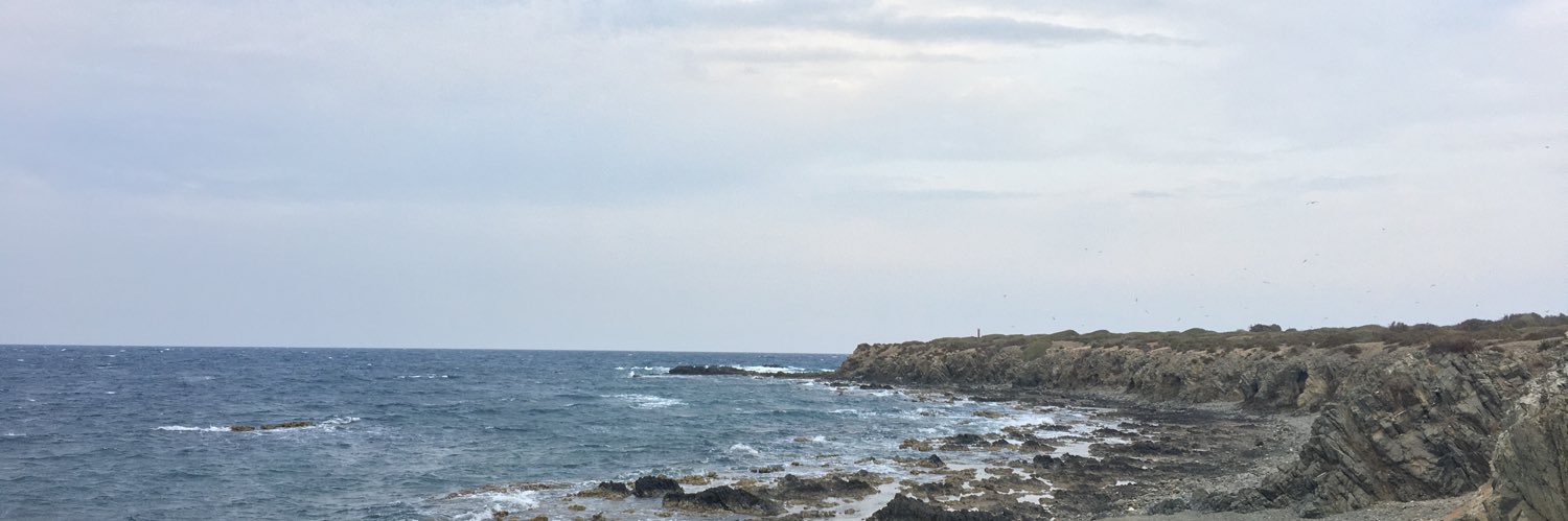 Adseriz's profile banner image