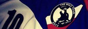 TheWolfTeam23's profile banner image
