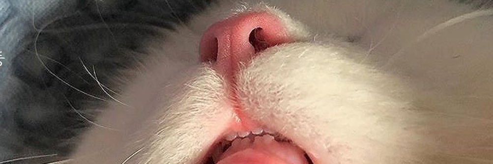 Lydiazman's profile banner image
