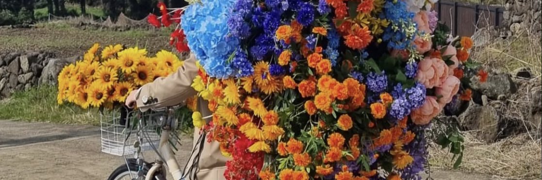 holipopp's profile banner image