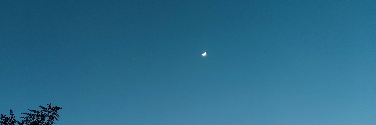 oearhp_1k's profile banner image