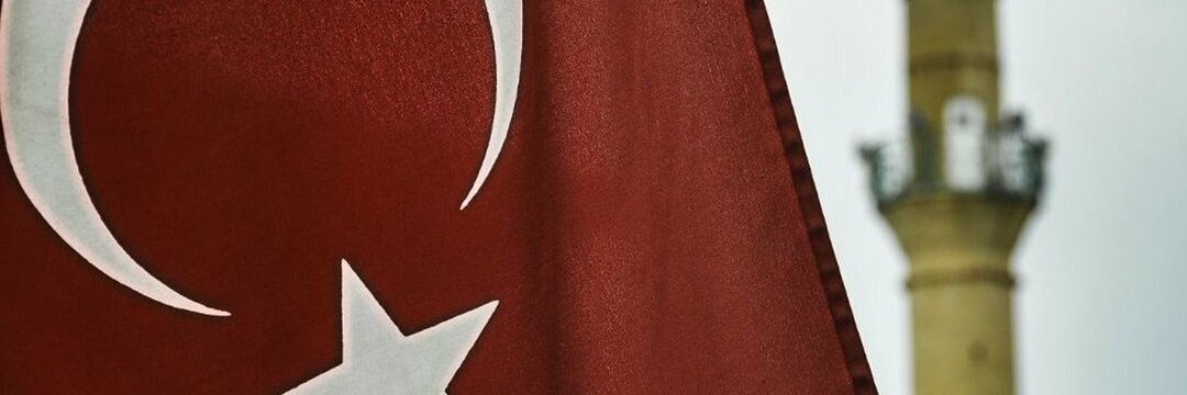 delphinus_ed's profile banner image