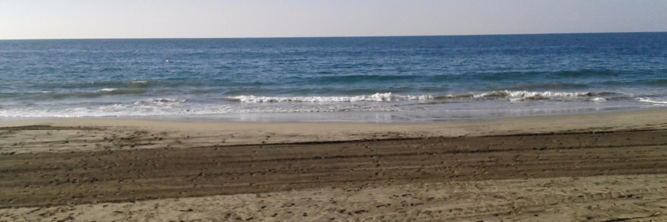GuillermoCagide's profile banner image