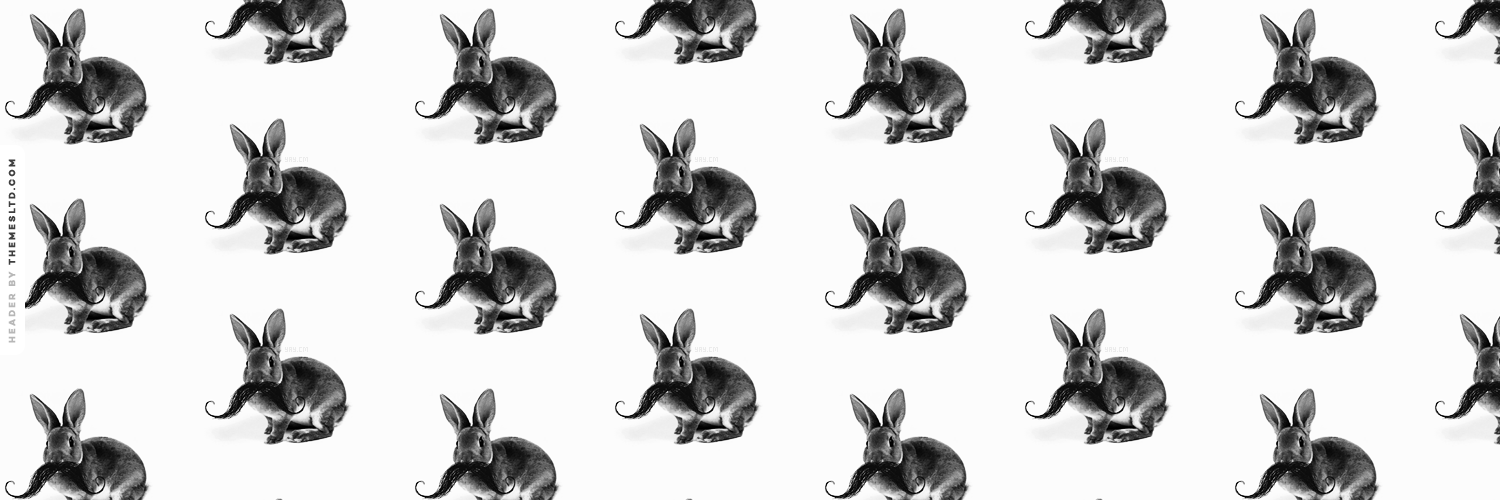 saffronrabbit's profile banner image