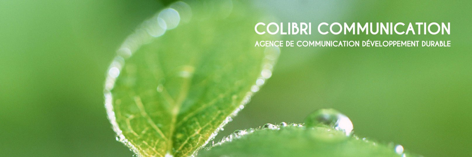 COLIBRI_COMM's profile banner image