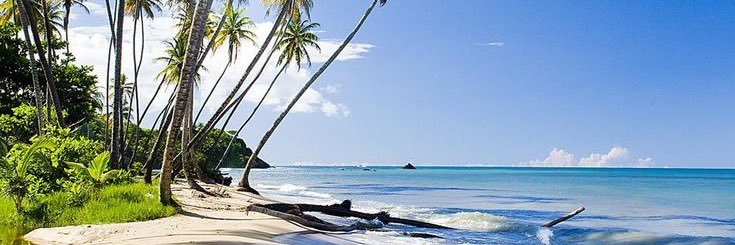 ‏ 𝒮𝒜𝒰𝒟 | سعود banner