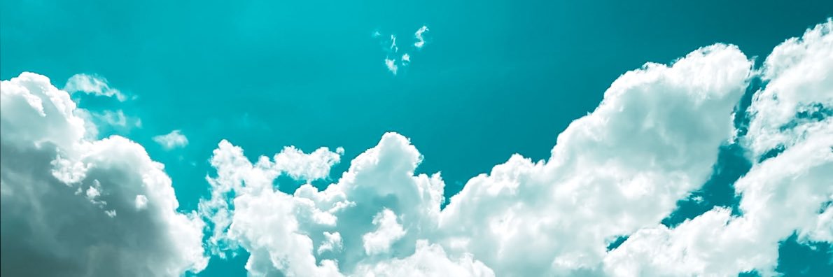 ericacastex's profile banner image
