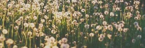 Barbyjsgdr's profile banner image