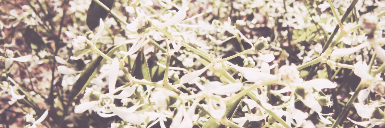 perriejsgdr's profile banner image
