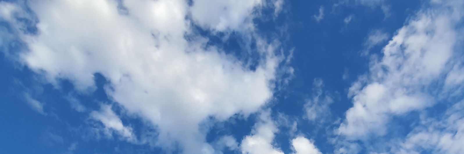runggg's profile banner image