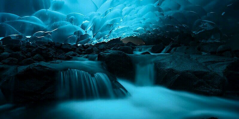 Lamster🛩🚀🏎 banner