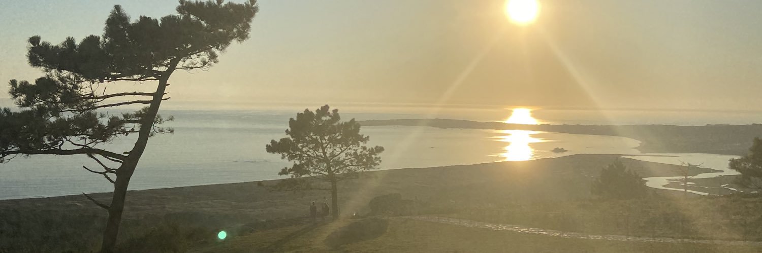 Laura_RiveiroR's profile banner image