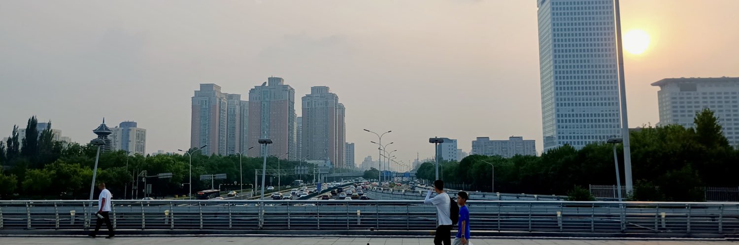 Francesco Collini banner