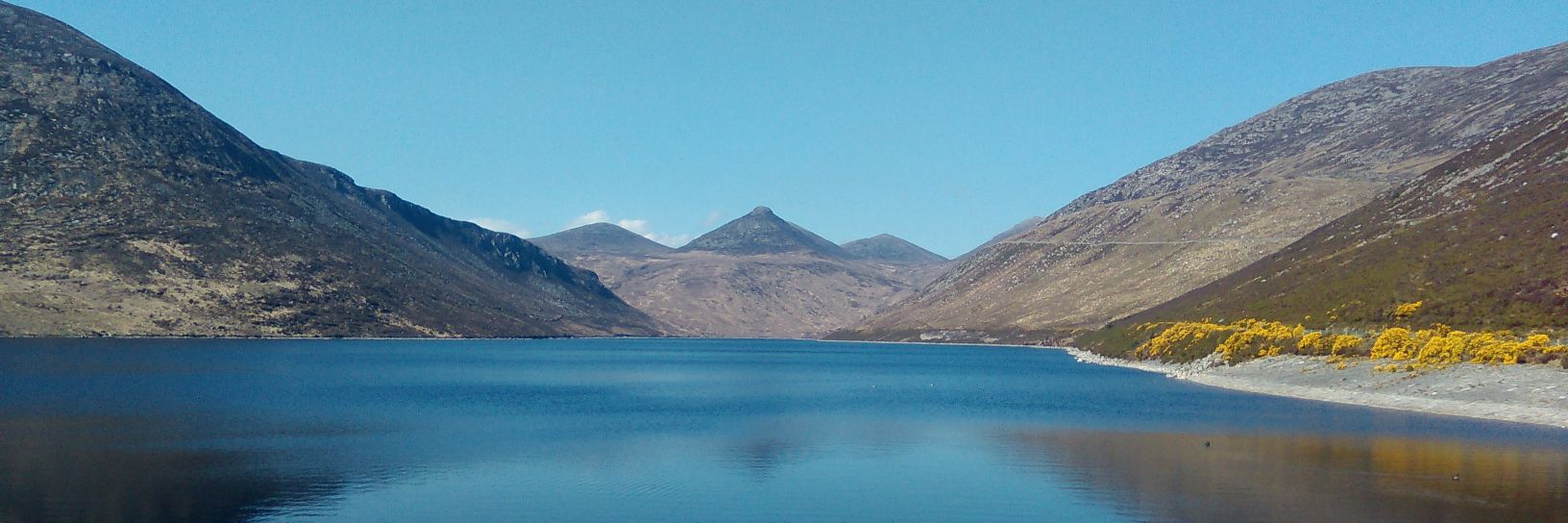 Eimer Proctor banner