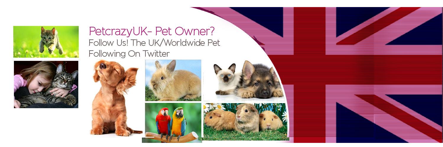 petcrazyuk's profile banner image