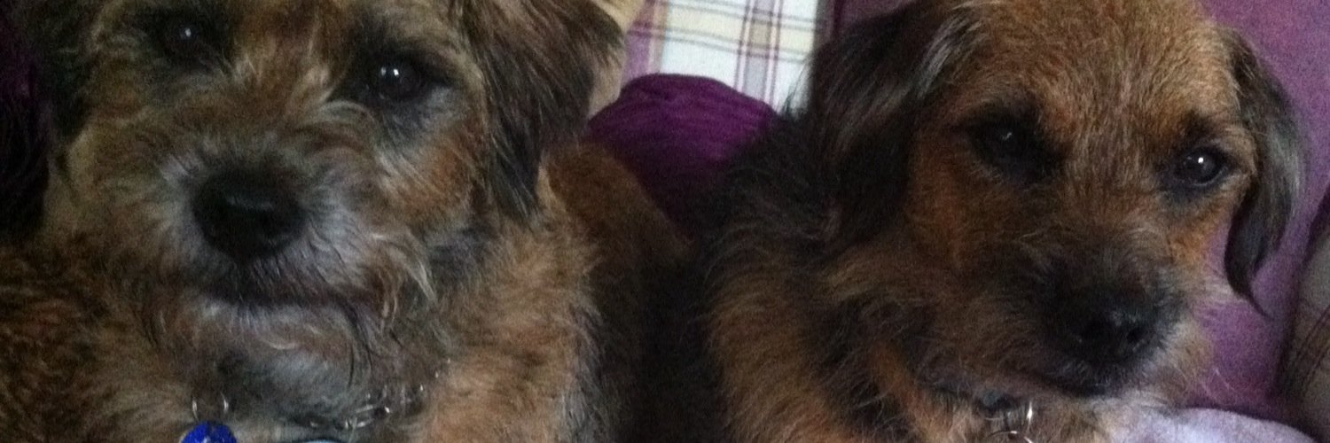 Lord Ron & Reg 🌈 banner