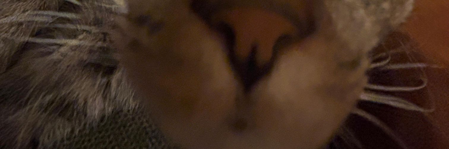 aragazar's profile banner image