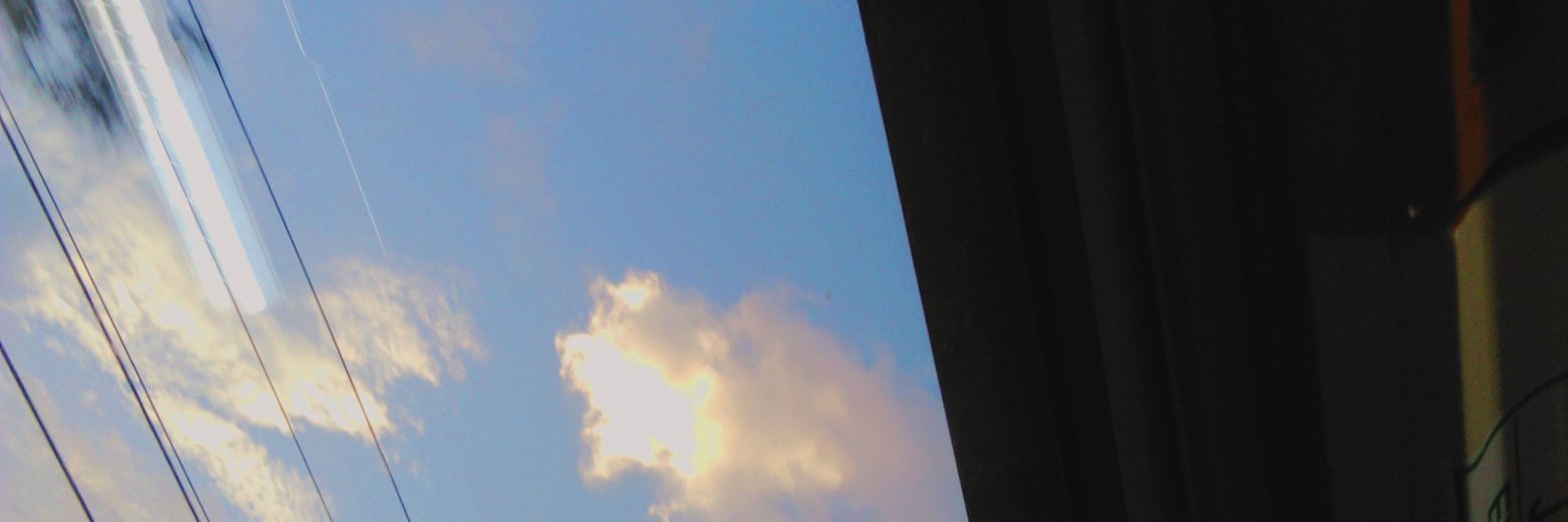 sellidh's profile banner image