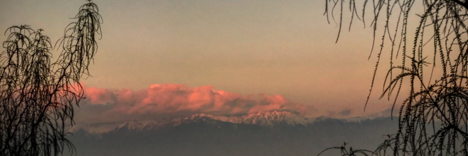 Bruno_PPinto's profile banner image