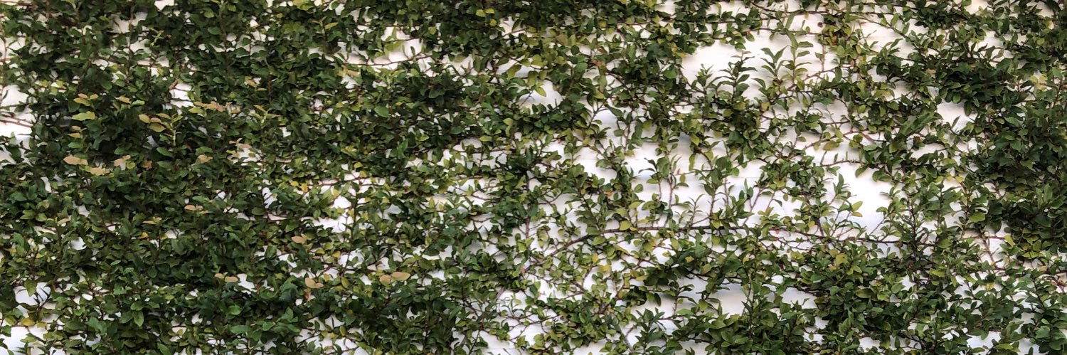 dianapaull's profile banner image