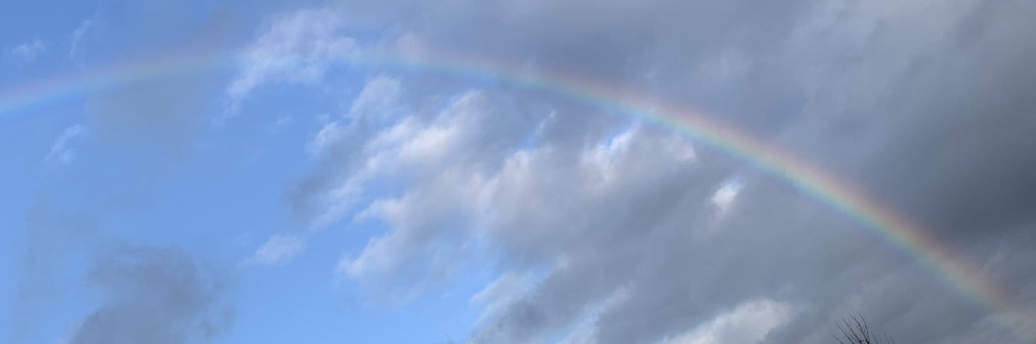olly_wright's profile banner image