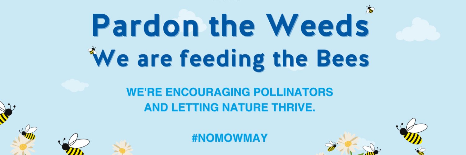 Barry Town Council banner